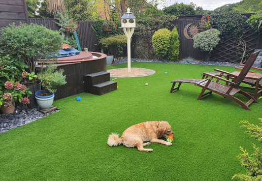 A Back Garden in England